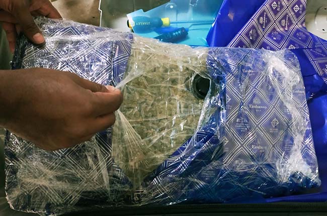 කෝටි 10ක කුෂ් සමඟ දෙදෙනෙකු කටුනායක දී අත්අඩංගුවට