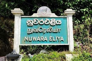 දූෂණ චෝදනා මත නුවරඑළිය ප්‍රා.ස සභාපති අත්අඩංගුවට