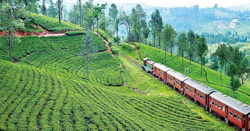 රජයේ වතු ඉඩම්වල සහ දේපළවලට ආයෝජනය කිරීමට අවස්ථාවක්