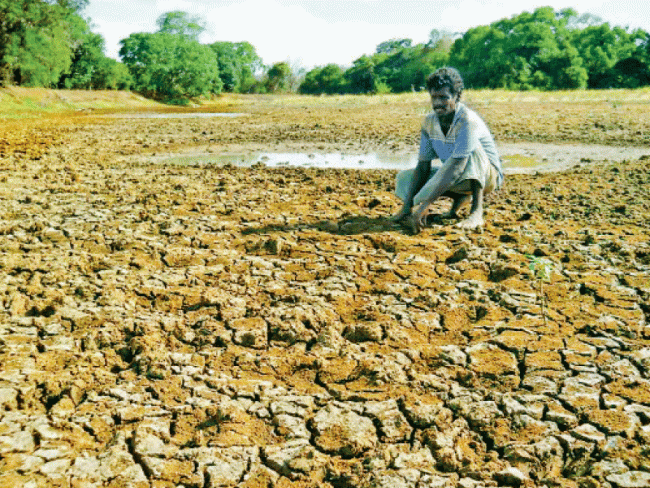 එල්නිනෝ අවදානමෙන් අපේක්ෂිත වැසි ඉදිරියේදී නොලැබෙන බවට කාලගුණයෙන් අනාවැකියක්