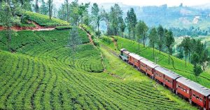 රජයේ වතු ඉඩම්වල සහ දේපළවලට ආයෝජනය කිරීමට අවස්ථාවක්