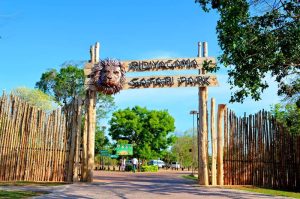 රිදියගම සෆාරි උද්යානය අලුත් වෙයි
