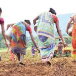 ව්‍යවසායකත්ව සංවර්ධනයෙන් කාන්තාවන් සවිබල ගැන්වීමට මිලියන 200 ක්