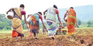 ව්‍යවසායකත්ව සංවර්ධනයෙන් කාන්තාවන් සවිබල ගැන්වීමට මිලියන 200ක්