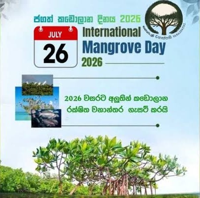 2026 වසරට අලුතින් කඩොලාන පද්ධතීන් 08ක් රක්ෂිත ලෙස ගැසට් කිරීමට පියවර