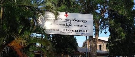 විෂ සහිත ඇට වර්ගයක් ආහාරයට ගත් සිසුන් 22ක් රෝහලට