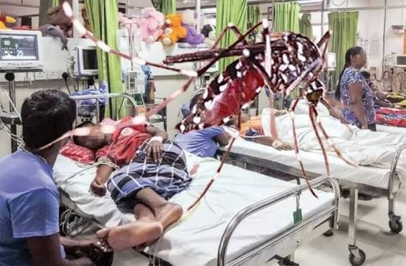 ඩෙංගු මරණ තවදුරටත් ඉහළට; රෝගීන් සංඛ්‍යාව 82,000 ඉක්මවයි
