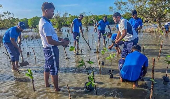 ජාත්යන්තර කඩෝලාන දිනය වෙනුවෙන් නාවික හමුදාවෙන් කඩෝලාන පැළ සිටුවීමේ වැඩසටහනක්