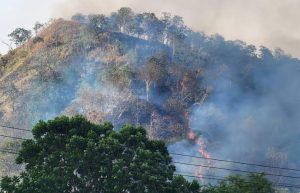 අලිකොටආර කඳු රක්ෂිතයේ ගින්නකින් අක්කර 10කට අධික ප්‍රදේශයක් විනාශයි