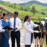 ජාතික පශු සම්පත් ප්‍රතිපත්තිය ක්‍රියාත්මක කිරීමට කැබිනට් අනුමැතිය