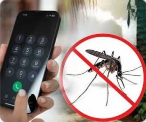 ඩෙංගු මදුරුවන් බෝවන ස්ථාන ගැන දැනුම් දෙන්න විශේෂ දුරකථන අංකයක්