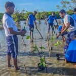 ජාත්‍යන්තර කඩෝලාන දිනය වෙනුවෙන් නාවික හමුදාවෙන් කඩෝලාන පැළ සිටුවීමේ වැඩසටහනක්