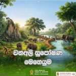 වන අලි සුපෝෂණ සහ වාසභූමි පුනරුත්ථාපන වැඩසටහන ඇරඹෙයි