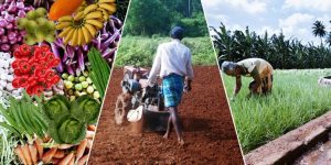 2025 වසරේ පමණක් කෘෂි නිෂ්පාදනවල අපනයන වර්ධනය 20%ක් - නියෝජ්‍ය අමාත්‍ය චතුරංග අබේසිංහ