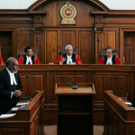 22 සංශෝධන පෙත්සම්: පූර්ණ විනිසුරු මඩුල්ලක ඉල්ලීම ඉවතට